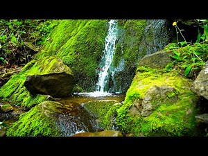 Water Sounds and Soothing Ambient Music 4K - Flowing Waterfall Nature Sounds for Calm