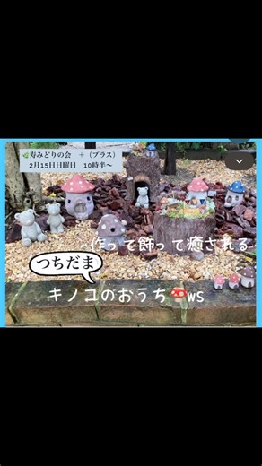 Blue gray garden 🌱坂元貴子 ガーデンコーディネーター・花育士✳︎北九州・福岡 on Instagram: "🌿寿みどりの会➕（プラス）🌿 ✳︎つちだま「きのこのおうち」🍄ワークショップ✳︎ ころんとかわいいきのこのおうちを手づくりしませんか？🍄 つちだまを使って 形をつくって、 色をぬって、 乾かしたら完成。 はじめての方でも楽しくつくれる人気のつちだまワークショップです♪ ゆったりとした時間を過ごしながら、手を動かし、おしゃべりも楽しみましょう。 日曜日に商店街で過ごす、ちょっと特別な時間を♡ 会場の「コトブキリビング」は、 八幡西区黒崎・コトブキ商店街にあるとても居心地のよいスペースです。 【日時】2月15日（日）10:30〜（約2時間半） 【場所】八幡西区黒崎コトブキリビング @kotobukihyakkaten @kotobuki_living 【参加費】4,500円 🈵 きのこのおうちとミニきのこを一緒につくります🍄 はじめての方も大歓迎です。お気軽にご参加ください🍄 お申し込みは、 @b.g.garden2020 に メッセージにてお願いい