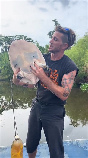Big soft shell turtle #eating #turtle | Cajun Dan | Facebook