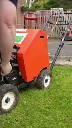 Transform Your Lawn: Dethatching Secrets Revealed!