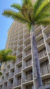 6.5K views · 805 reactions | Pool envy! Check out this tour of our Grand Lanai decked out with heated pool, whirlpool spa, a children's pool, and a sundeck with lounge chairs, daybeds, and private cabanas. #EmbassySuitesWaikiki | Embassy Suites Waikiki Beach Walk | Facebook