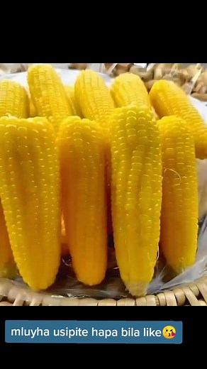 Western Ingo & Luhya Culture - Kenya