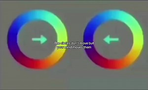Understanding the Circle Illusion: Why Your Mind Thinks the Circles are Moving