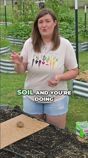 DEEP Watering Is ESSENTIAL For Growing Healthy Carrot Plants