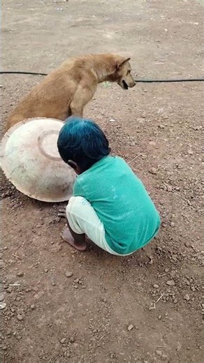 Real Aggressive Dog Barking | Scary Dog Sound Warning!