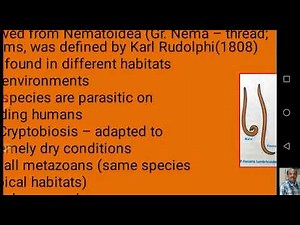 Phylum Nematoda - General Characters and Classification