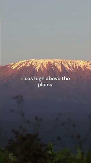 See Mount Kilimanjaro From the Plains to the Peak!