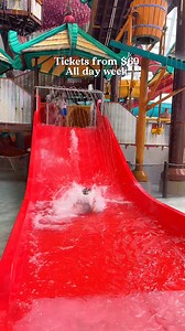 Splash into the ultimate family adventure! Giant slides, lazy rivers, and endless laughs all under one epic roof! | American Dream