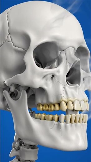 What happens if you smokes 1 cigarette every day for 1 year? #shorts