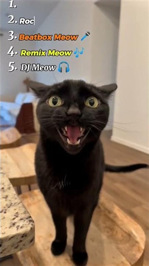 sing in different versions 😂🐈#catvideos #cat #shorts