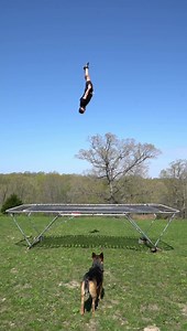 Competitive trampoline positions. #gymnastics #trampolinetricks #trampolineflips | James Johnson