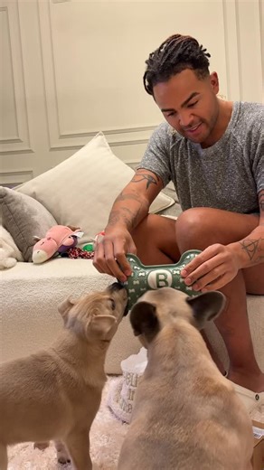 Nathan Henry on Instagram: "Christmas Morning with my kids. - Merry Christmas from Me, Buster, Bailey & Buddy 😇 🐾 - #santapaws #dogdad #explore #christmas #puppies"