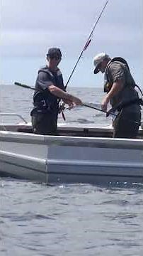 Golfer Ryan Fox hunting for his biggest Kingfish! #fishing #ultimatefishing #ryanfox #mattwatson
