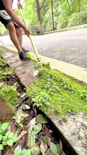 The Ultimate Tool for Precise Weeding Along Curbs and Driveways