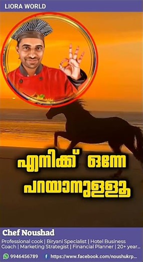നീ വിട്ടുപോയാലും ഞാൻ വളരും 🔥 Come Back When You Realize My Value Chef Noushad