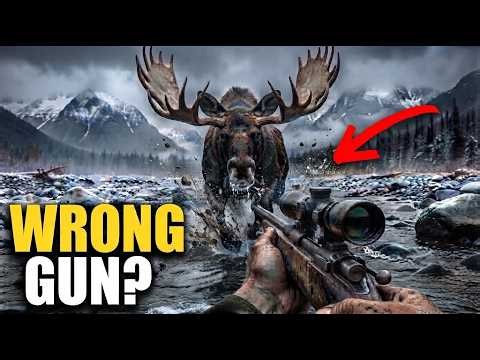 Moose Injure More People Than Bears | Here's What Actually Stops Them