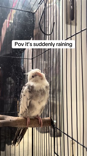 Effective Ways to Prevent the Flu