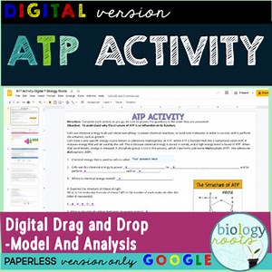 Digital ATP Model Activity
