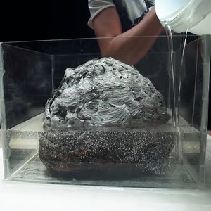 756K views · 1.7K reactions | Making a Hornet's Nest Display Table | DIY & Crafts | Facebook