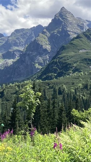Tatry,Góry szlak Hala Gąsienicowa