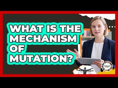 What Is The Mechanism Of Mutation?