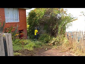 This is what happens when you LISTEN to the POSTMANS Recommendation 😉😄