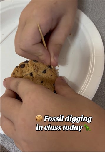 We got to do a fun experiment in class today. The students got to go on a fossil digging excursion. They had fun trying to get the fossils (aka chocolate chips) out using their tools safely. Gideon took it very serious. He says we wants to be a museum worker when he gets older that finds fossils so this was right up his alley. #teachersoftiktok #teachertok #scienceexperiments #2ndgradeteachers #teacherideas