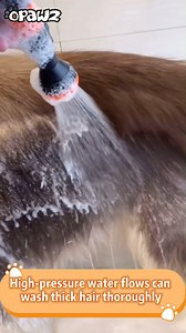🐾 Unleash the strength of the OPAWZ Pet Bathing System, perfectly suited for large breed dogs! Designed for durability, it offers a deep cleansing experience that reaches the base of dense fur, efficiently removing dead fur and skin for a complete and thorough clean. 💦 🇺🇸 www.opawz.com/collections/pet-bathing-system 🇨🇦 www.opawz.ca/collections/pet-bathing-system #opawz #opawzbathingsystem #opawzcanada #petclean #petbath | OPAWZ