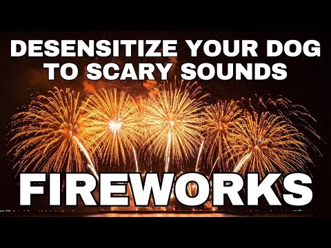 10 HOURS of Fireworks Sounds for Dog and Puppy Desensitization