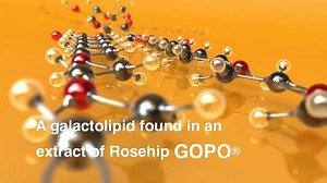 18 reactions | This is why our rosehip powder is so special. A short explanation of the powerful properties of GOPO. Discover more on our website www.rosehipvital.com.au #rosehipvitalwithgopo #backedbyscience #naturaljointhealth | Rose-Hip Vital with GOPO | Facebook