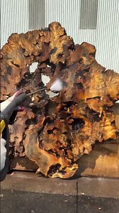 Buckeye Burl Wood Slabs #woodworking