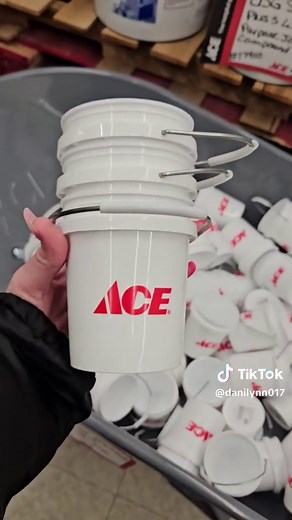 Discover Ace Hardware's New Mini Buckets!
