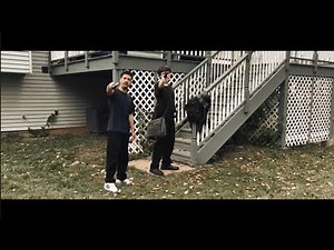 CODE RED (2025) Official Trailer | The Unleashed Studios