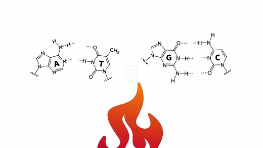​Luminex MultiCode®-RTx 多重PCR 技术解析