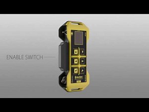 LK NEO Autec Safety Wireless Radio Remote Control
