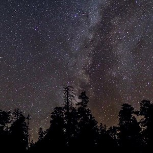 "Keep your eyes on the stars and your feet on the ground." -Theodore Roosevelt, Grand Canyon fan. [Video description: A time-lapse video of the milky way galaxy with silhouetted trees in the foreground.] | Grand Canyon National Park