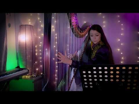 Sally's Song (The Nightmare Before Christmas) - Harp Solo // Amy Turk