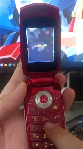 Samsung SGH-T219 startup and shutdown (classic)