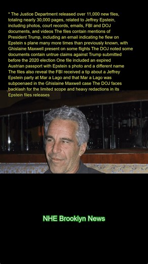 The Justice Department released over 11,000 new files, totaling nearly 30,000 pages, related to Jeff