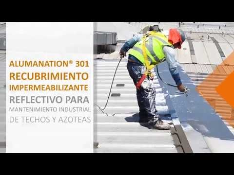 ALUMANATION 301