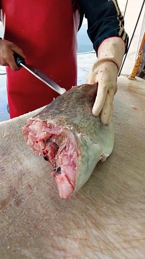 How to Fillet a Grouper Fish: A Beginner's Guide #fish #food #usa #uk #england #canada #reels #trending #fyp #foryou | Brielle Jade | Facebook