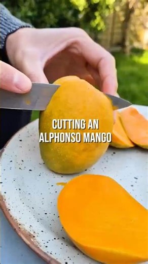 Inside an Alphonso Mango 🥭
