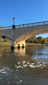 Good mates, great snacks, and skyline views from the water. No licence, no worries — just good vibes and your own pace. Book your GoBoat and cruise into relaxation. | GoBoat Melbourne