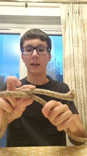 how to tie a reef knot