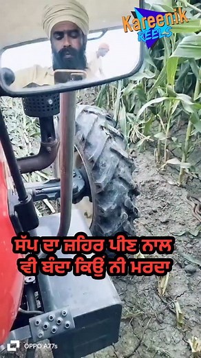 7.6K views · 2.7K reactions | #snake #bite #venom #facts #truth #mith | D infotainment live ਕਰੀਨਾ ਗਰੁੱਪ | Facebook