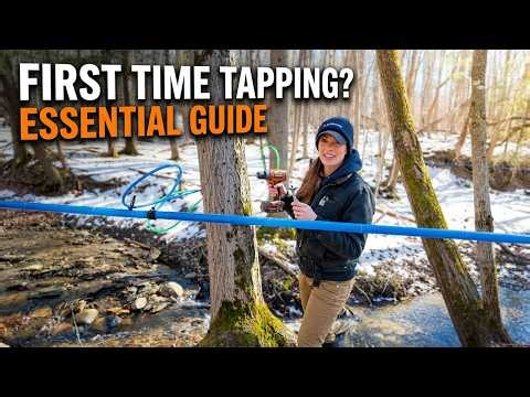 Maple tapping 101: what nobody tells you about the first season