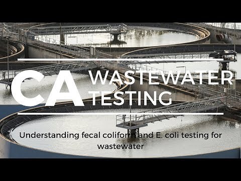 California: Understanding fecal coliforms and E coli wastewater testing