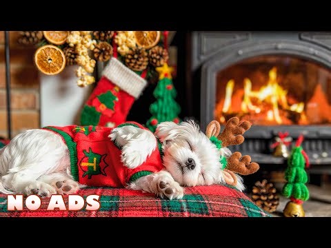 12 Hours of Soothing Dog Music for Stress Relief 🐶 Anti-Separation Anxiety for Dogs 🎵 No Ads