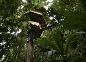 About Finca Bellavista Treehouse Community - Information and History