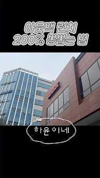 [저장필수] 아웃백 런치, 이렇게 안 먹으면 진짜 손해입니다 (가성비 꿀팁)